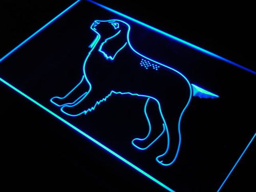 Field Spaniel Breed Dog Pet Shop Neon Light Sign